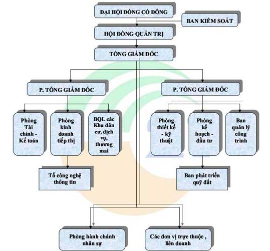 Công ty Cổ phần Thế Kỷ 21